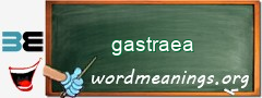 WordMeaning blackboard for gastraea